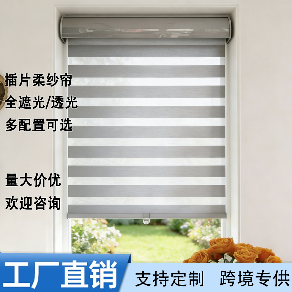 Factory Direct Sales Foreign Trade Export Insert Zebra Blinds Without Pull Soft Gauze Curtains Adjustable Dimming Roller Blinds Source Factory