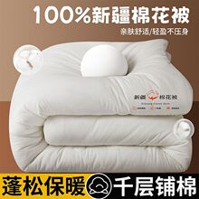 新疆棉花被冬被加厚保暖被子冬季棉被芯单人宿舍棉絮春秋被直销