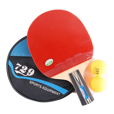 729 Bloom Table tennis racket 2040 beginner finished product Fast Break Brachypodium Pen Long handle Horizontal position