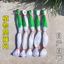 �Nֲ���پW�S�Ͻz�϶��������Wɽș�Nֲ�W�S��ֱ�N���l���N���l