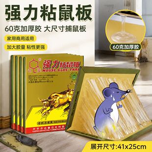 �_�� A1#���ţ����ճ���60���zˮճ�������N�S��ֱ�N���l