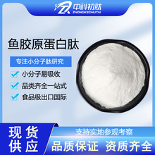 鱼胶原蛋白肽小分子食品级 鱼鳞胶原蛋白活性肽原料 多肽蛋白肽粉