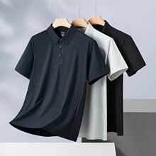 25�����b��ʿ���z�ٸɷ��I����POLO�� �д�a�ӷʼӴ����e����t��