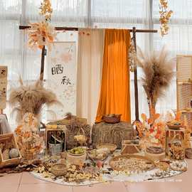 秋天场景布置芦苇垛幼儿园环创中秋装饰晒秋主题节气植物自然角