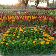 ͺݻf۾ջѻN҃ļN@ˇ@־^̾G