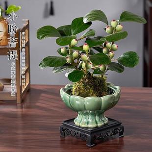 С������̦�\�������҃�ֲ���k����������Bֲ��U���辰�����Gֲ