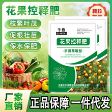 ������ጷ��a�I�B�Ę������������������a������ЙC