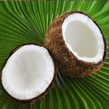 海南特产老椰子去皮新鲜毛椰子批发果园直达孕妇水果现摘椰皇椰汁