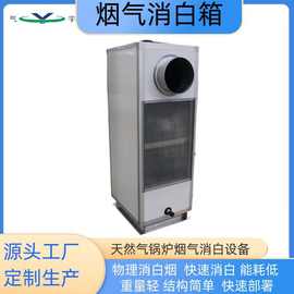 燃气锅炉烟气消白设备，1吨锅炉白烟消除箱，烟囱脱白处理废气