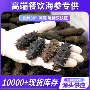 ���B�ײ��л��ɺ����}�n�������l�|�������