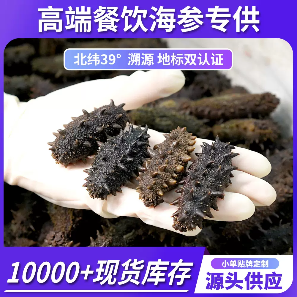 大连底播中火半干海参盐渍海参批发辽参餐饮专供