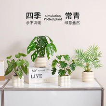 ֲ��С�����b[���͏d�k���������辰�����ٻ����滨�մ���Gֲ