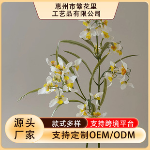 С���m�p�ݸߙn���滨�������m�Ҿӿ͏d��ƿ����ٻ��[������