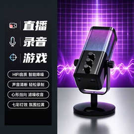 其他音响设备;功放机;麦克风/话筒