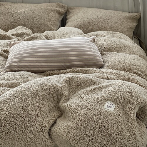 Encrypted and thickened ins atmosphere alpaca four-piece set autumn and winter thickened warm milk velvet simple solid color bedding