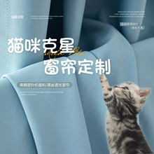 ��؈ץ���ú�2025�¿�؈ץ���ڹ�͏d���Һ��s������ꖺ���Ʒ