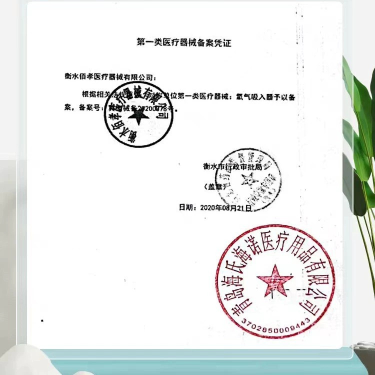 海氏海諾酸素バッグ携帯医療用家庭酸素バッグ大容量42L酸素吸入救急酸素バッグ|undefined