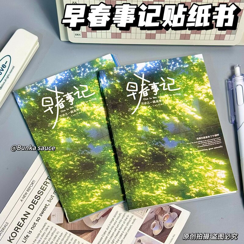 In-Stock Xiaohongshu Same Style Early Spring Diary Ins-Style Die-Cut Student Planner Diary DIY Decorative Material Sticker Book