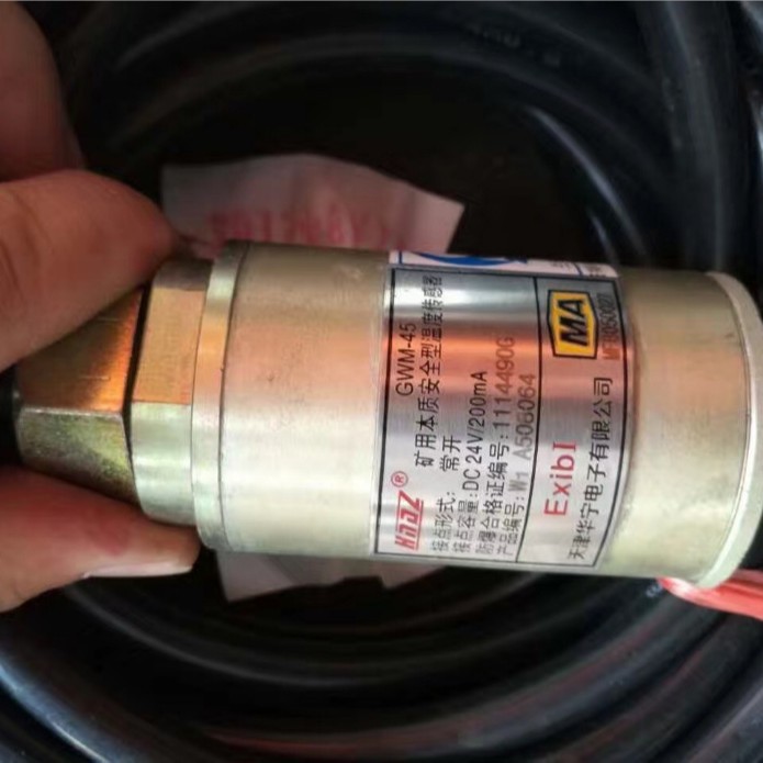 天津华宁矿用本质型温度传感器GWM-45