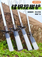 挖树专用铁锹-2026秋季苗木移栽推荐工具