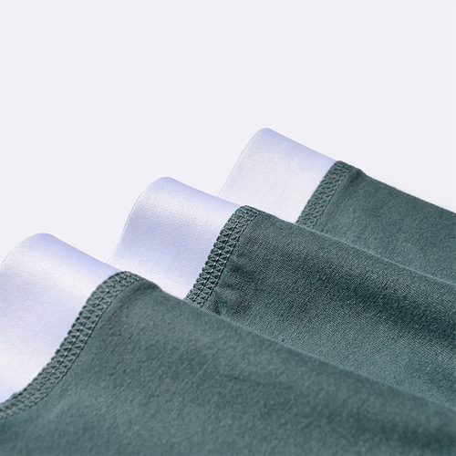 New Gradient Cotton Men's Underwear Comfortable Mid-waist Boxer Briefs Letter Waist Large Size Underwear Men's Cotton Wholesale