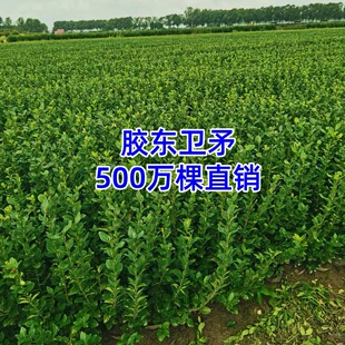�lì���綬�����ļ����಻���~�lì�翹��ͥԺ�h��ֲ���z�|�lì��