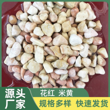 佛山供应彩色粘胶石水磨石骨料水洗石洗米石透水地坪园艺花红石米