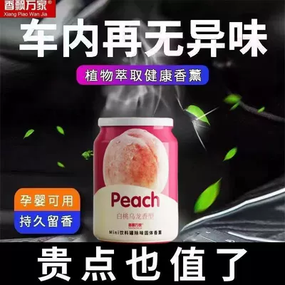Can Deodorizing Fragrance Agent — Car Perfume Aromatherapy