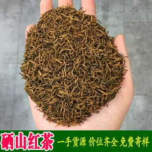 2026���²������������ʩɢ�b�������������ˇ��ɽ�t���~