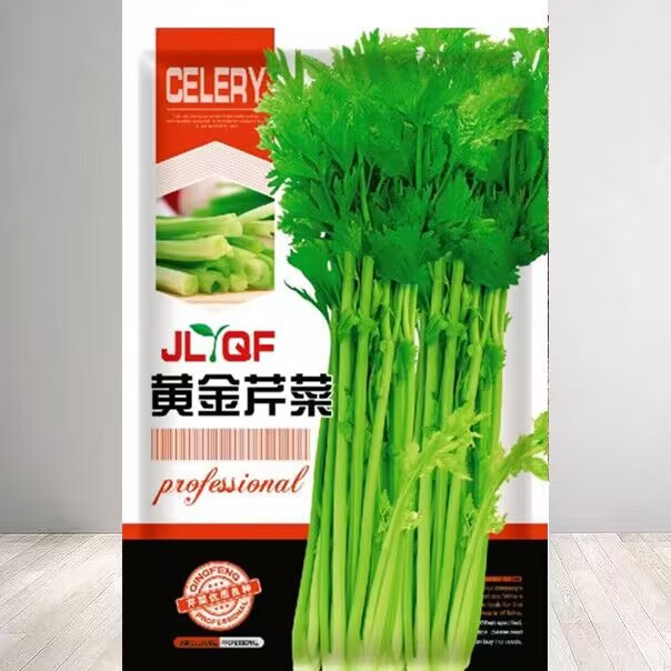 黄金芹菜种子小香芹种子脆嫩西芹菜种四季蔬菜种子盆栽西芹菜种子