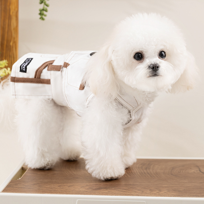 Moda coreana primavera y verano perro chaleco de mezclilla falda traje perro pequeño y mediano peluche ropa coreana para perros
