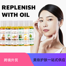 ȫӢ��kasibo�������w�ͽM���aˮ�̝������B�w���w�Ϳ羳���Q��