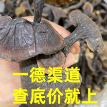 ������ș�ĸ�؛Ұ�����`֥�Ҝ���ˮ�ݾ��`֥�B����500g