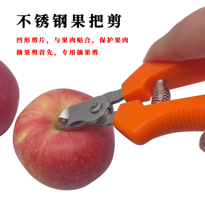厂现货 不锈钢窝型摘果剪 苹果剪采摘水果剪凹形稀果剪刀果枝剪子