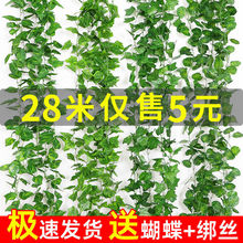 lüٻb{ˮܵٗlړ~G}bGֲ