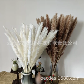 干花;永生花;鲜花花艺制品