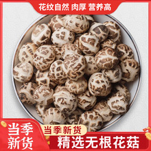 �󻨹�ͨ؛��؛500g�ľ�㹽Ģ���r���خa���������ͶY