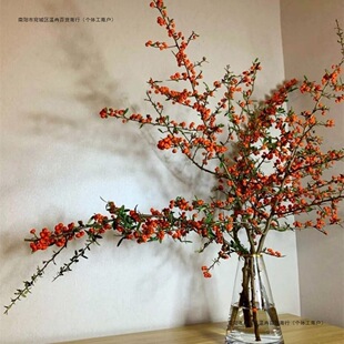 �𼬹��������r�оGֲ�r��ˮ�B���˼ҾӲ͏d��c�廨ˮ��ֲ�ﲼ��