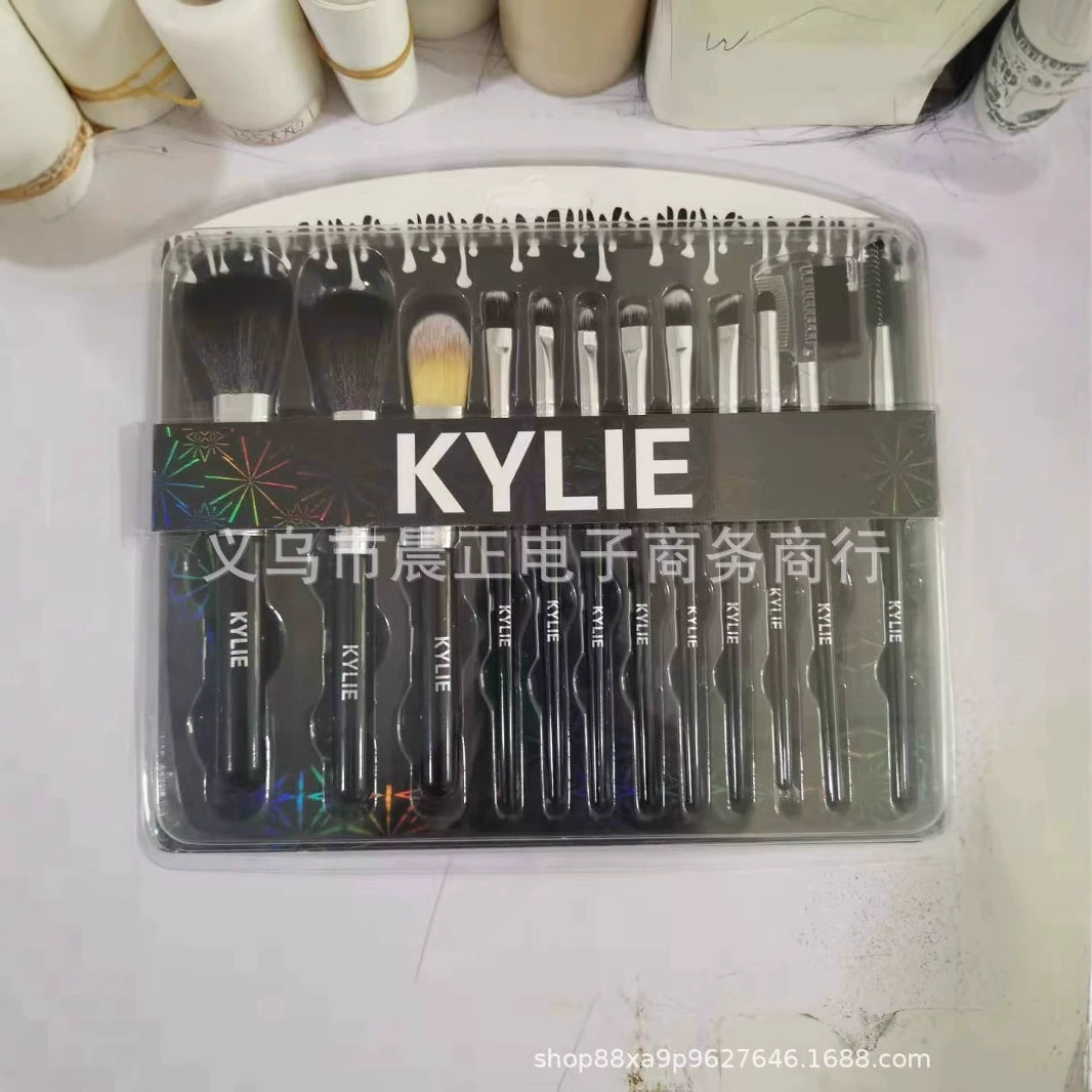Makeup Brush Set, 12-Piece, Plastic Handle with Fiber Bristles, Black, Plastic Case