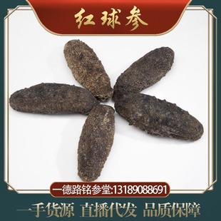 批发深海纯淡干关西红球参水产海味干货足干海参滋补食材泡发量大-阿里巴巴