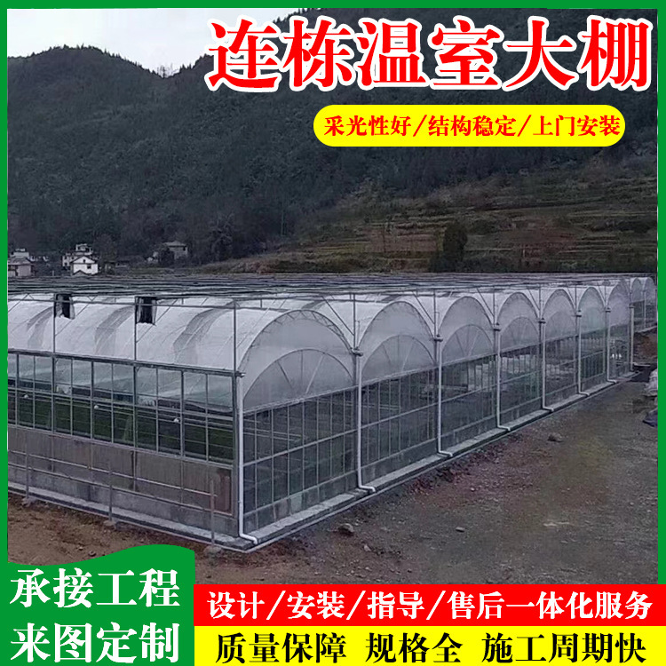 Multi-Span Greenhouse Manufacturer, Greenhouse Frame, Vegetable Greenhouse, Multi-Span Greenhouse for Flower Cultivation Multi-Span Greenhouse Manufacturer, Greenhouse Frame, Vegetable Greenhouse, Multi-Span Greenhouse for Flower Cultivation
