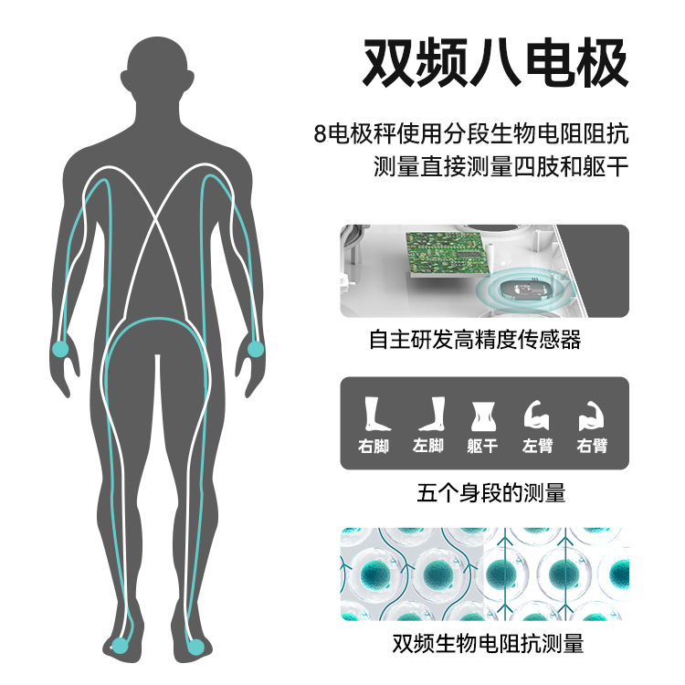 Colored display body fat scale with eight electrodes, Bluetooth-connected smart electronic scale, cross-border customization via app.
