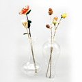 透明玻璃花瓶水培花瓶高花卉植物玻璃花盆装饰家居派对装饰创意花