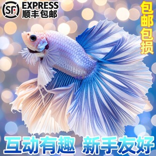 ̩�����~�۰װ��»鼆�~�����~�W�t����Ꭷ�~���ֺ��B�ͻ���ˮ�~