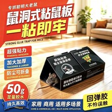 厂家生产粘鼠板超强力老鼠贴捕鼠器神器老鼠黏贴防尘型捕鼠屋