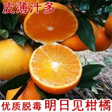 ������ ��̨ɽ�ۘ��� �t�������� �����ǽ���޽ӽ����箔��Y��