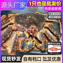 帝王蟹海鲜鲜活冷冻10斤特大螃蟹新鲜活冻俄罗斯进口国庆中秋送礼