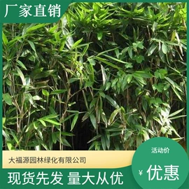 其他园林植物;水生植物;灌木