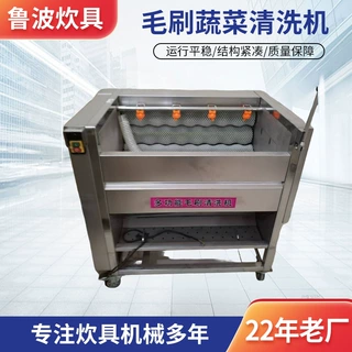 定制清洗机全自动商用毛刷土豆山药萝卜莲藕电动 清洗机
