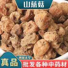 ɽ�ȹ� ë�ȹ� ������ ��ș��ɽ�ȹ� ����� ���N������l���l